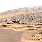FLF_0882_0745247824_771ECM_N0430000FHAZ00203_07_195J