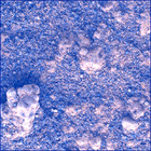 SIF_0887_0745688783_648EBY_N0440000SRLC00701_0000LMJ
