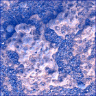 SIF_0887_0745689091_296EBY_N0440000SRLC00701_0000LMJ