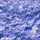 SIF_0887_0745689407_433EBY_N0440000SRLC00701_0000LMJ