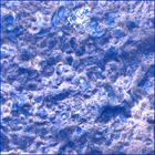 SIF_0887_0745689688_648EBY_N0440000SRLC00630_0000LMJ
