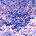 SIF_0887_0745689717_421EBY_N0440000SRLC00630_0000LMJ