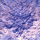 SIF_0887_0745689720_445EBY_N0440000SRLC00630_0000LMJ