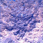SIF_0887_0745689724_980EBY_N0440000SRLC00630_0000LMJ