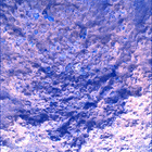 SIF_0887_0745689890_851EBY_N0440000SRLC00630_0000LMJ