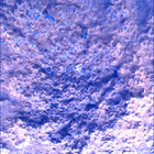 SIF_0887_0745689896_835EBY_N0440000SRLC00630_0000LMJ