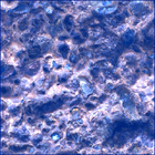 SIF_0887_0745690041_960EBY_N0440000SRLC00366_0000LMJ