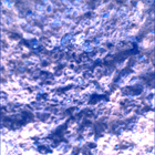 SIF_0887_0745690072_171EBY_N0440000SRLC00366_0000LMJ