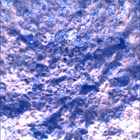 SIF_0887_0745690073_988EBY_N0440000SRLC00366_0000LMJ