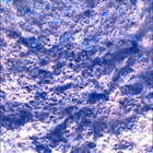 SIF_0887_0745690081_238EBY_N0440000SRLC00366_0000LMJ