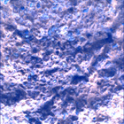 SIF_0887_0745690084_863EBY_N0440000SRLC00366_0000LMJ