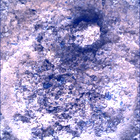 SIF_0893_0746219196_839EBY_N0440000SRLC01034_0000LMJ
