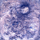 SIF_0893_0746219204_363EBY_N0440000SRLC01034_0000LMJ