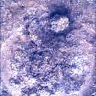 SIF_0893_0746219205_867EBY_N0440000SRLC01034_0000LMJ