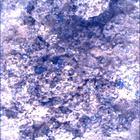 SIF_0893_0746219379_882EBY_N0440000SRLC00744_0000LMJ