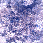 SIF_0893_0746219381_523EBY_N0440000SRLC00744_0000LMJ