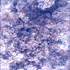 SIF_0893_0746219389_707EBY_N0440000SRLC00744_0000LMJ
