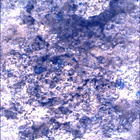 SIF_0893_0746219391_343EBY_N0440000SRLC00744_0000LMJ