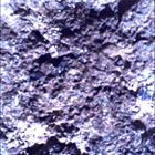 SIF_0894_0746314875_214EBY_N0440000SRLC00663_0000LMJ