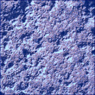 SIF_0913_0748003906_875EBY_N0450000SRLC04001_0000LMJ