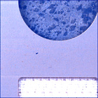 SIF_0916_0748274396_148EBY_N0450000SRLC07023_0000LMJ