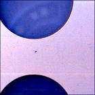 SIF_0916_0748274521_417EBY_N0450000SRLC07023_0000LMJ