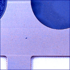 SIF_0916_0748274649_062EBY_N0450000SRLC07023_0000LMJ
