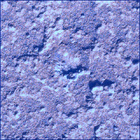 SIF_0920_0748622962_894EBY_N0450000SRLC02500_0000LMJ