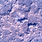 SIF_0920_0748623113_507EBY_N0450000SRLC00737_0000LMJ