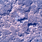 SIF_0920_0748623118_070EBY_N0450000SRLC00737_0000LMJ