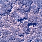 SIF_0920_0748623119_589EBY_N0450000SRLC00737_0000LMJ