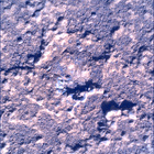 SIF_0920_0748623288_242EBY_N0450000SRLC00737_0000LMJ