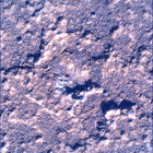 SIF_0920_0748623289_765EBY_N0450000SRLC00737_0000LMJ