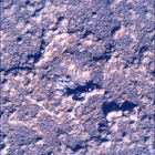SIF_0920_0748623291_289EBY_N0450000SRLC00737_0000LMJ