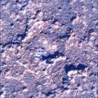 SIF_0920_0748623295_859EBY_N0450000SRLC00737_0000LMJ