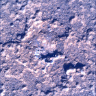 SIF_0920_0748623297_382EBY_N0450000SRLC00737_0000LMJ