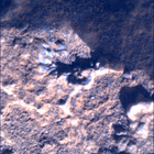 SIF_0920_0748623465_855EBY_N0450000SRLC00360_0000LMJ