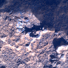 SIF_0920_0748623469_226EBY_N0450000SRLC00360_0000LMJ
