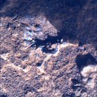 SIF_0920_0748623474_277EBY_N0450000SRLC00360_0000LMJ
