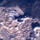 SIF_0920_0748623475_960EBY_N0450000SRLC00360_0000LMJ