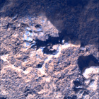 SIF_0920_0748623477_644EBY_N0450000SRLC00360_0000LMJ