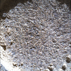 SIF_0920_0748624264_246EBY_N0450000SRLC00657_0000LMJ