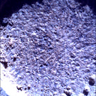 SIF_0920_0748624291_367EBY_N0450000SRLC00657_0000LMJ