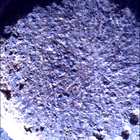 SIF_0920_0748624292_996EBY_N0450000SRLC00657_0000LMJ