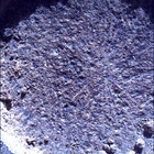 SIF_0920_0748624297_882EBY_N0450000SRLC00657_0000LMJ
