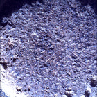 SIF_0920_0748624299_511EBY_N0450000SRLC00657_0000LMJ