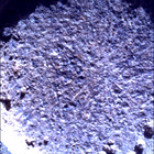 SIF_0920_0748624302_769EBY_N0450000SRLC00657_0000LMJ