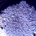 SIF_0920_0748624473_128EBY_N0450000SRLC00657_0000LMJ