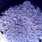 SIF_0920_0748624474_761EBY_N0450000SRLC00657_0000LMJ