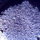 SIF_0920_0748624476_390EBY_N0450000SRLC00657_0000LMJ